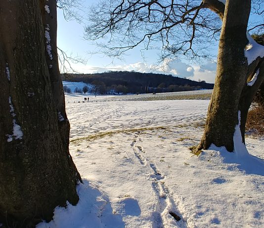 Winter – Stanmer Park
