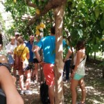 Small party of people that accompanied us on the lemon grove tour