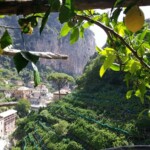 View from a lemon grove on one of the lemo tours from Amalfi