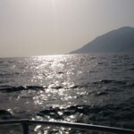 Bobbing around just off the coast of Minori