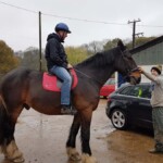 Beautiful Boston, and 815kg shire horse
