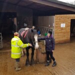 Meeting Rose for the first time