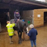 The first mount is always the hardest