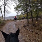 We're losing them, c'mon Boston, giddy'up lad