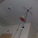 Bone marrow transplant, in action.